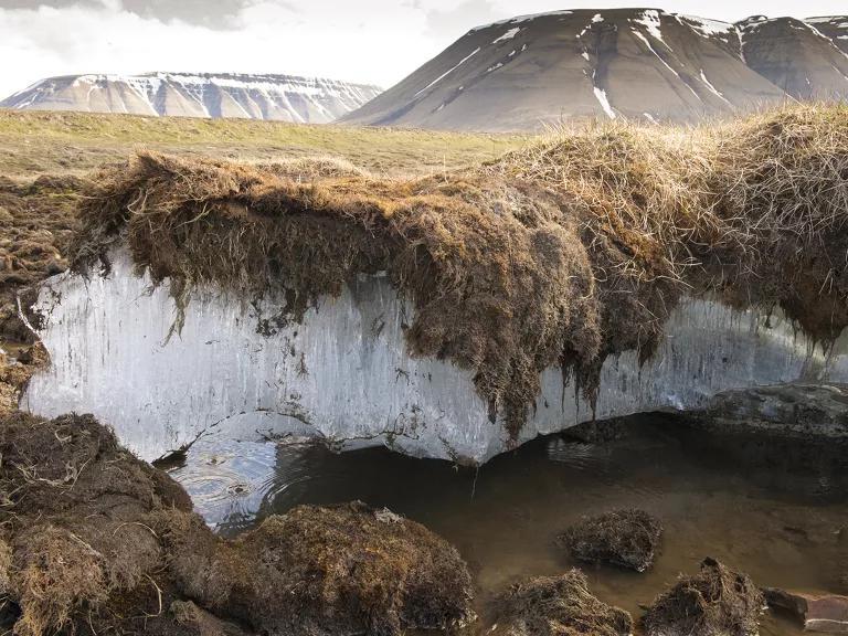 Thawing Secrets: Permafrost’s Chilling Impact on Our Planet