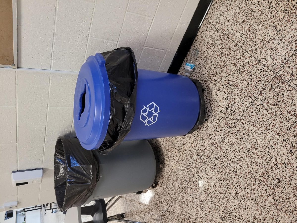 Recycling bins paired with regular trash cans in cafeteria for correct usage emphasis.